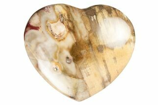 Polished Triassic Petrified Wood Heart - Madagascar #194908