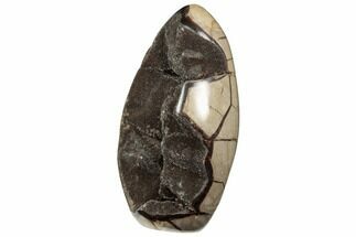 Free-Standing, Polished Septarian Geode - Black Crystals #196270