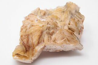 Sparkling Red Vanadinite Crystals on Barite - Morocco #196318