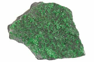 Green Uvarovite (Garnet Group) Cluster - Russia #195562