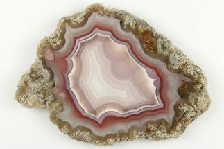 3" Polished Laguna Agate Slice - Mexico - Crystal #198144
