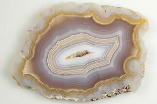 2.9" Polished Laguna Agate Slice - Mexico - Crystal #198150