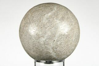 2.4" Polished Agatized Dinosaur (Gembone) Sphere - Morocco - Fossil #198501
