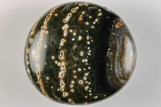 2.5" Unique Ocean Jasper Pebble - Madagascar - Crystal #199317
