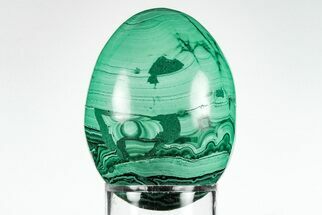 2.2" Flowery, Polished Malachite Egg - Congo - Crystal #199131
