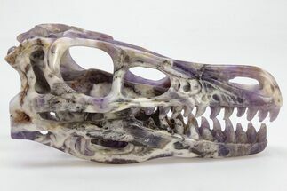 Polished Amethyst Dinosaur Crystal Skull - Ferocious! #199466