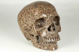 6" Polished, Brown "Wavellite" Stone Skull - Crystal #199600