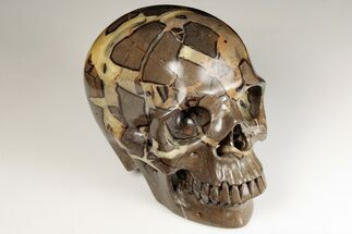 7.1" Polished Septarian Skull - Madagascar  - Crystal #199605