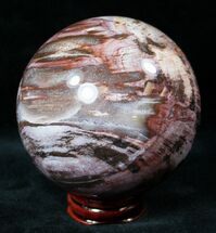 Purple/Red Petrified Wood Sphere #12406