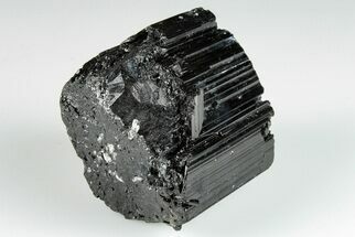 1.7" Terminated Black Tourmaline (Schorl) Crystal - Madagascar - Crystal #200419