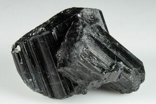 Terminated Black Tourmaline (Schorl) Crystal Cluster - Madagascar #200420
