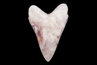 Realistic, 7.4" Carved Rose Quartz Megalodon Tooth - Replica - Crystal #202058
