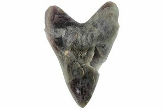 Realistic, 7.4" Carved Fluorite Megalodon Tooth - Replica - Crystal #202095