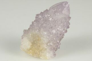 Cactus Quartz (Amethyst) Crystal- South Africa #201690