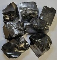 Shungite For Sale - FossilEra.com