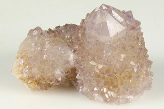 1.2" Cactus Quartz (Amethyst) Crystal - South Africa - Crystal #201739