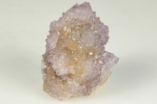 1.2" Cactus Quartz (Amethyst) Crystal - South Africa - Crystal #201742