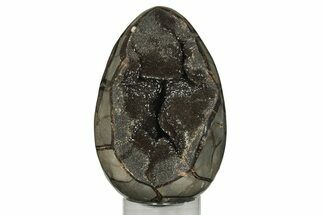 7.9" Septarian "Dragon Egg" Geode - Black Crystals - Crystal #202557