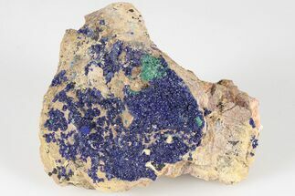 2.5" Druzy Azurite and Malachite on Matrix - Morocco - Crystal #202687