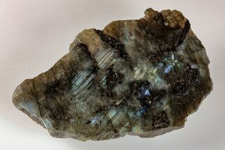 4" Single Side Polished Labradorite - Madagascar - Crystal #202676