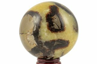 2.7" Polished Septarian Sphere - Madagascar - Crystal #203652