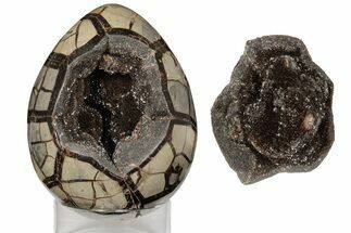 7.5" Septarian "Dragon Egg" Geode - Removable Section - Crystal #203822