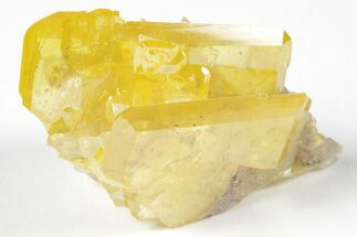 1.4" Lustrous, Yellow-Orange Wulfenite - La Morita Mine, Mexico - Crystal #205001