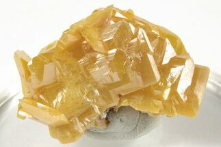 1.3" Lustrous Wulfenite Crystal Cluster - La Morita Mine, Mexico - Crystal #205004