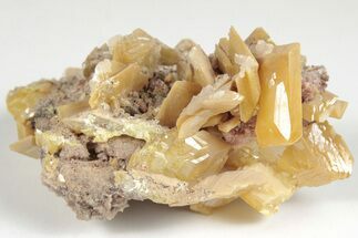 2.8" Lustrous, Orange Wulfenite Crystals - La Morita Mine, Mexico - Crystal #205015