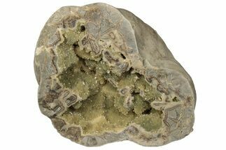 9.7" Yellow Crystal Filled Septarian Geode - Utah - Crystal #204034