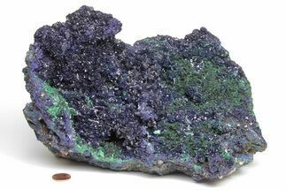 Huge, 9.9" Azurite Crystal and Malachite Cluster - China - Crystal #205164