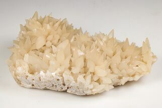 Dogtooth Spar Calcite Crystal Cluster - China #205506
