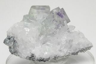 Purple & Green Cubic Fluorite Cluster with Quartz - China #205612