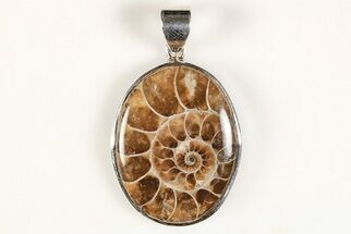 Fossil Ammonite Pendant - Million Years Old #205802