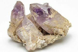 Amethyst Crystal Cluster - Las Vigas, Mexico #204639