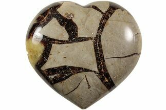 Polished Septarian Heart - Madagascar #205375