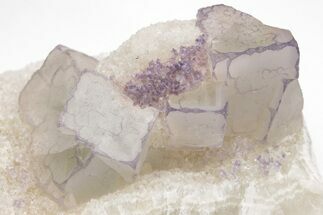 Purple Edge Fluorite Crystal Cluster - Qinglong Mine, China #205492