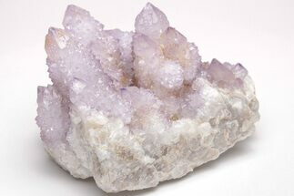 Huge, Cactus Quartz (Amethyst) Crystal Cluster - South Africa #206116