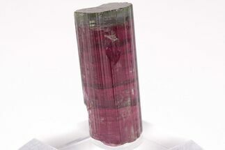 Tri-Colored Elbaite Tourmaline Crystal - Aricanga Mine, Brazil #206245
