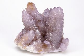 Sparkly, Cactus Quartz (Amethyst) Crystals - South Africa #206198