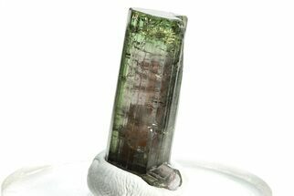 Bicolor Elbaite Tourmaline Crystal - Aricanga Mine, Brazil #206866