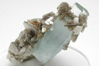 Gemmy Aquamarine Crystals with Muscovite - Skardu, Pakistan #207192