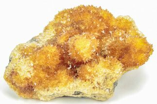 Intense Orange Calcite Crystal Cluster - Poland #207640