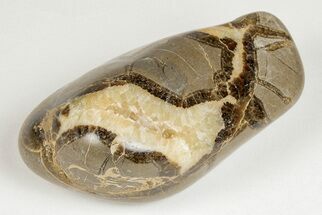 Wide, Polished Septarian Pebble - Utah #207818