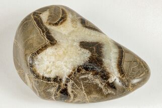 Wide, Polished Septarian Pebble - Utah #207827