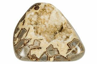 Polished, Crystal Filled Septarian Nodule - Utah #207812