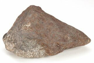 Chondrite Meteorite ( grams) - Western Sahara Desert #208162