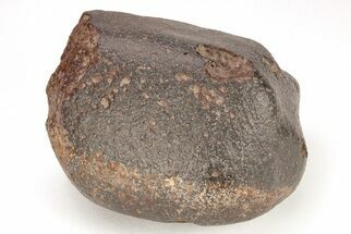 Chondrite Meteorite ( grams) - Western Sahara Desert #208168