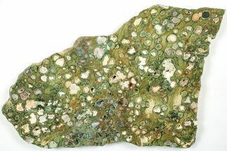 Polished Rainforest Jasper (Rhyolite) Slab - Australia #208191