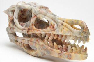 Carved Crazy Lace Agate Dinosaur Skull #208832
